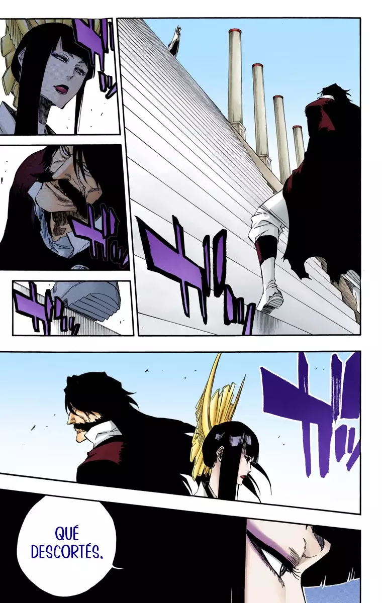 Read Bleach Full Color ES Manga Online