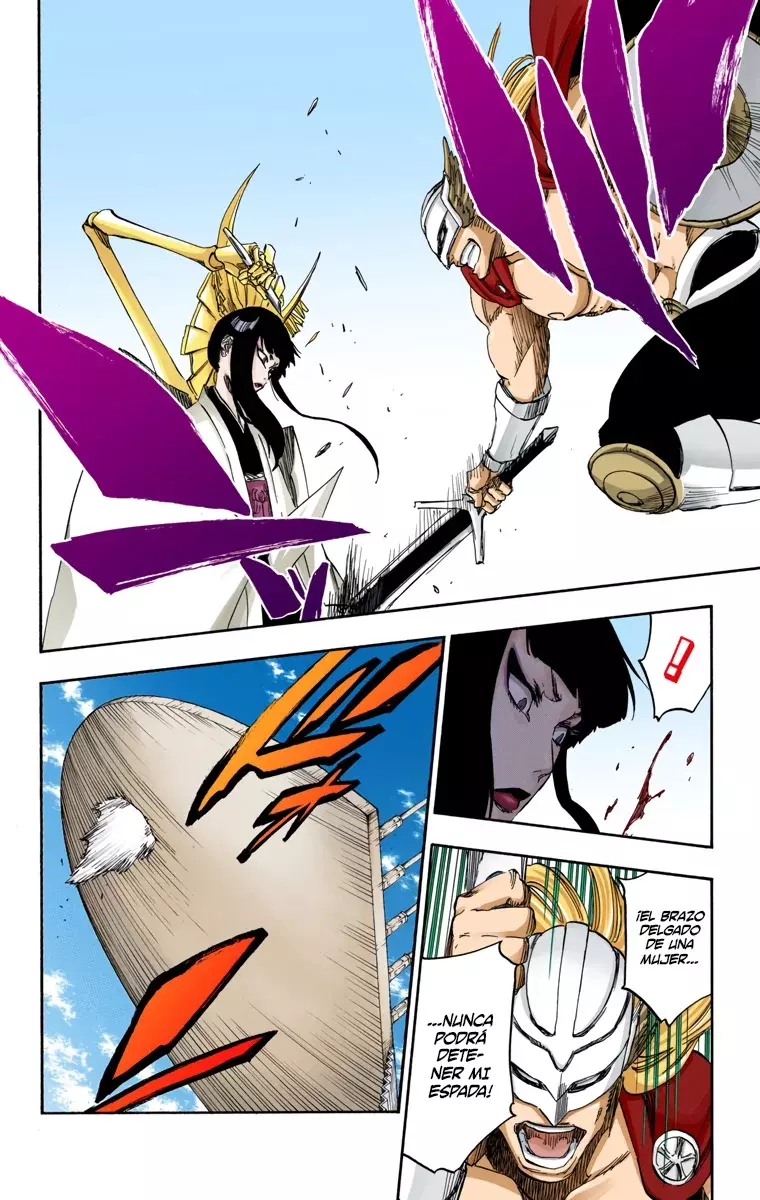 Read Bleach Full Color ES Manga Online