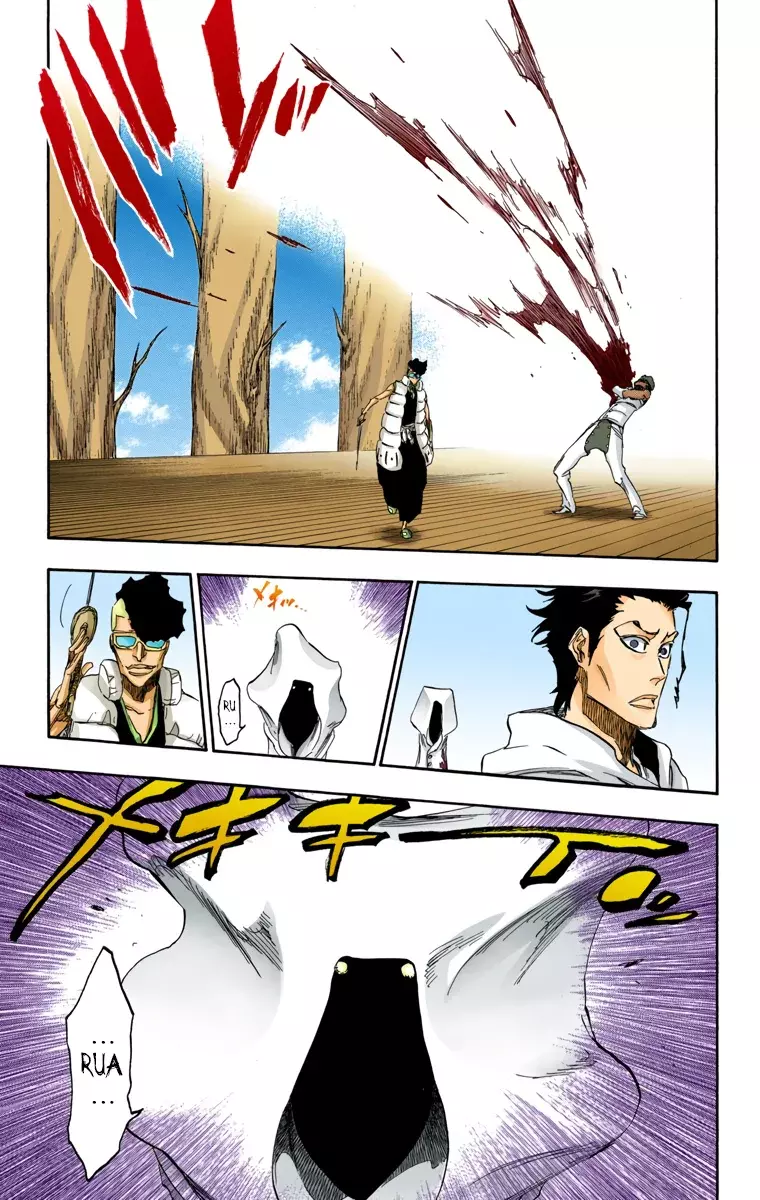 Read Bleach Full Color ES Manga Online