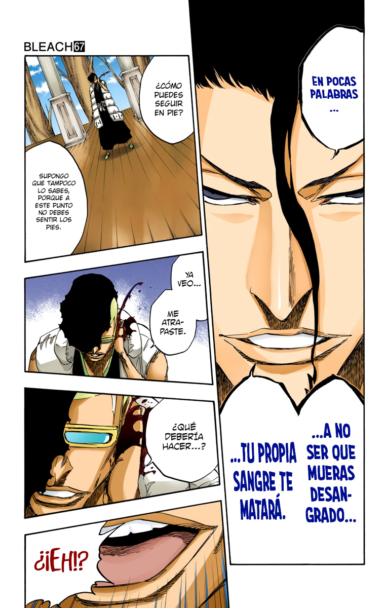 Read Bleach Full Color ES Manga Online