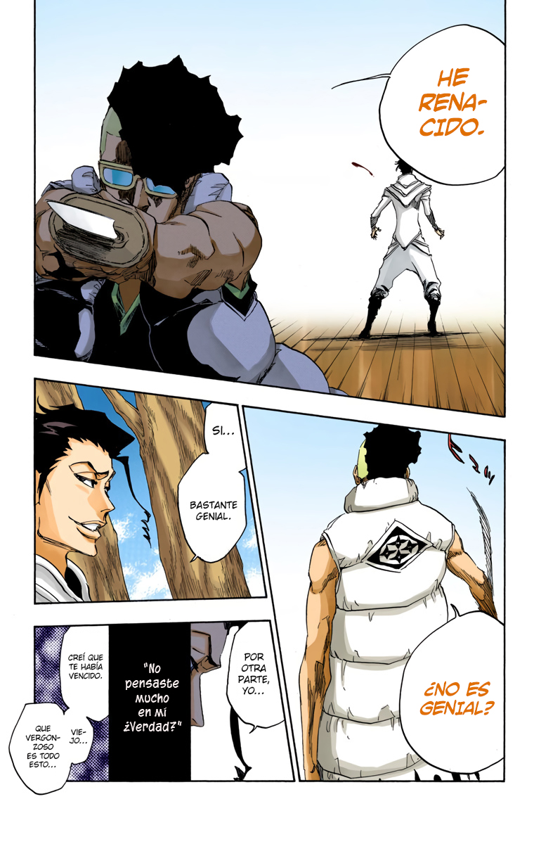 Read Bleach Full Color ES Manga Online
