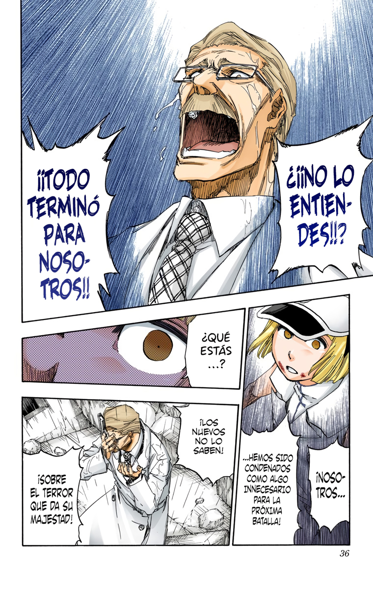 Read Bleach Full Color ES Manga Online