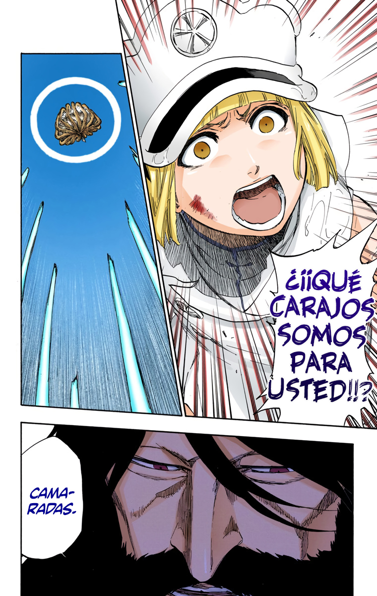 Read Bleach Full Color ES Manga Online