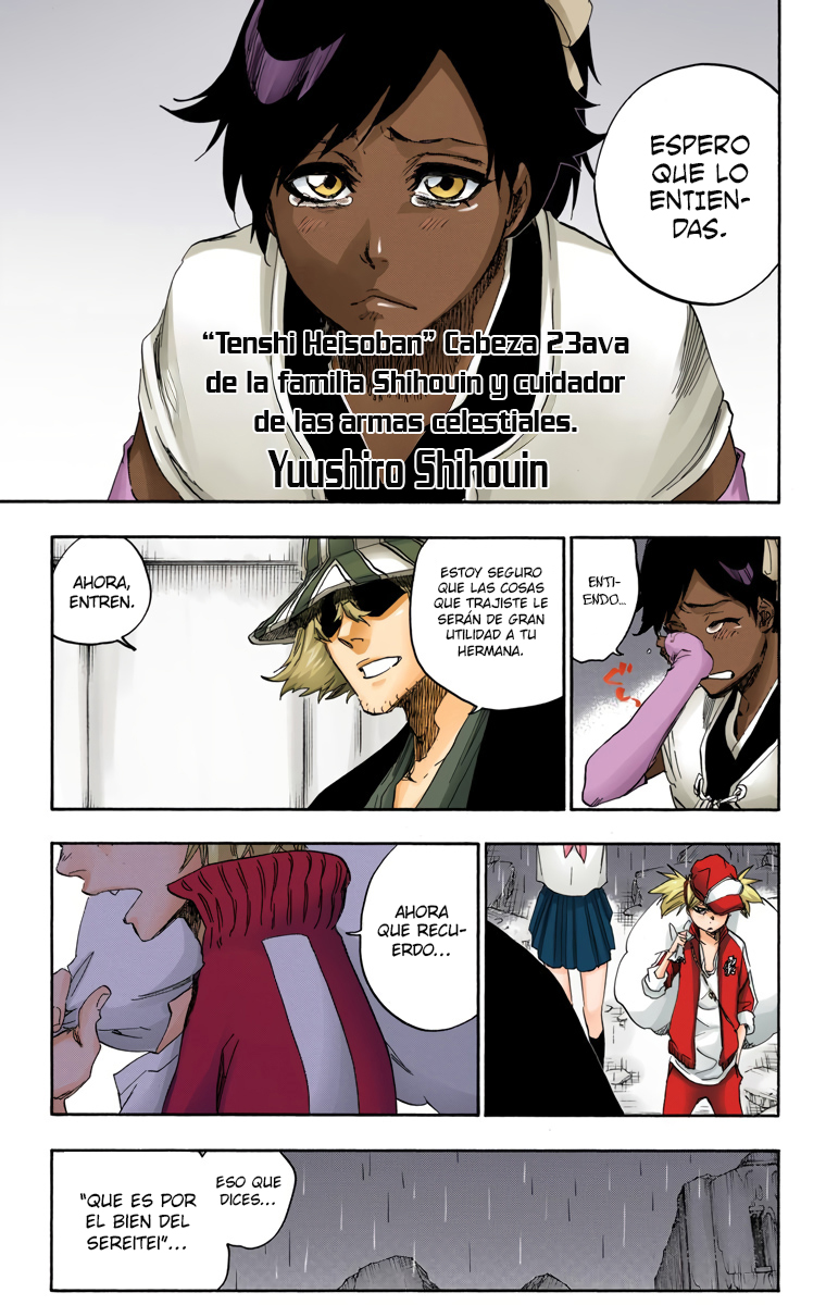 Read Bleach Full Color ES Manga Online