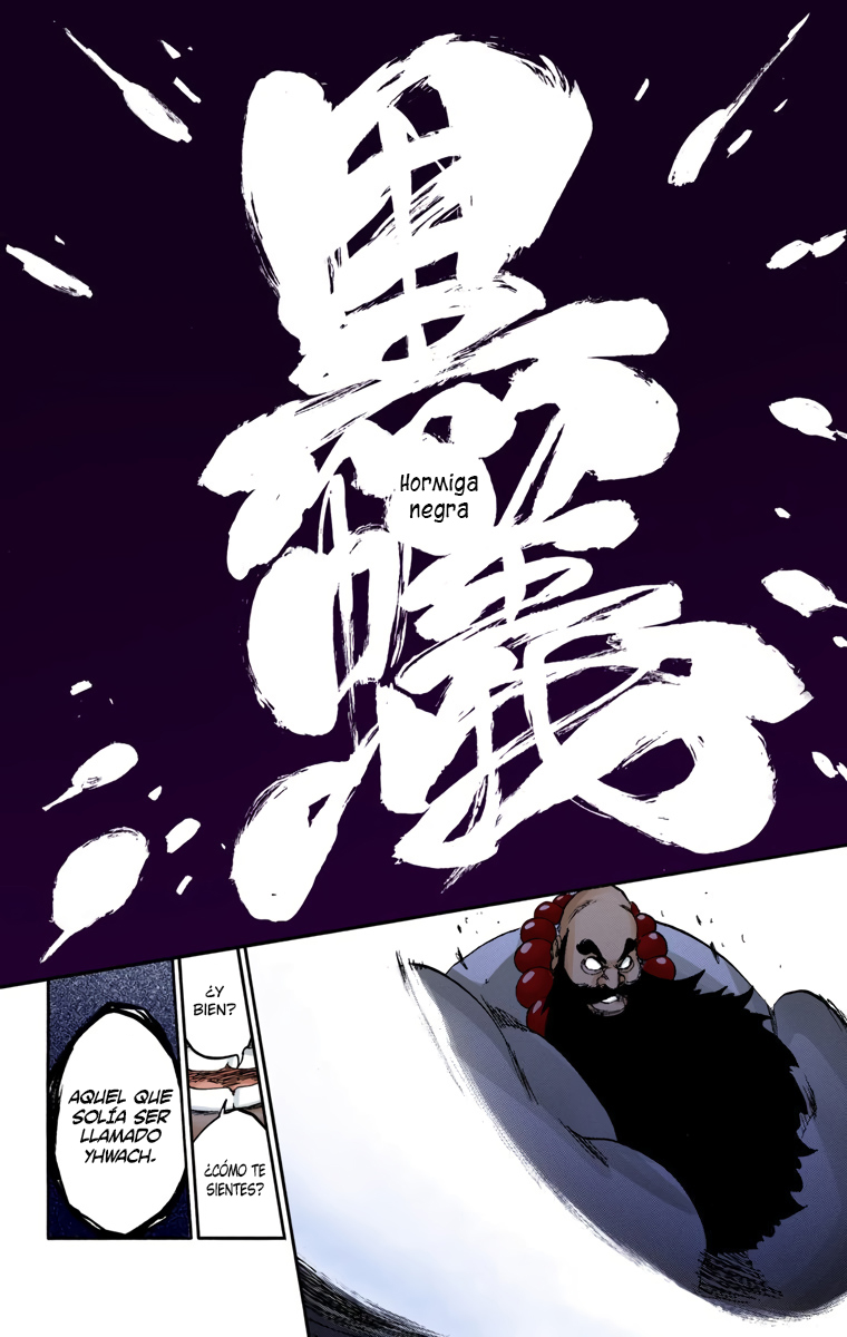 Read Bleach Full Color ES Manga Online