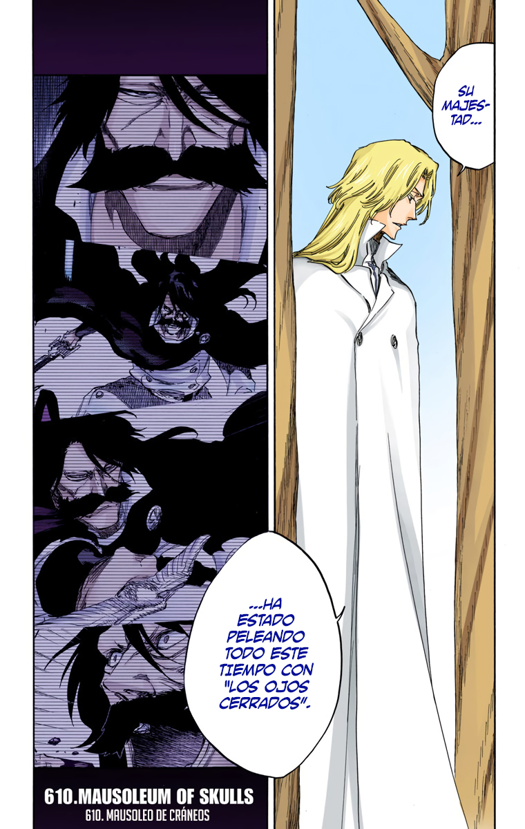 Read Bleach Full Color ES Manga Online