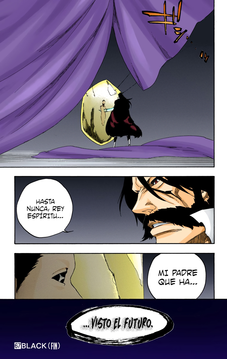 Read Bleach Full Color ES Manga Online