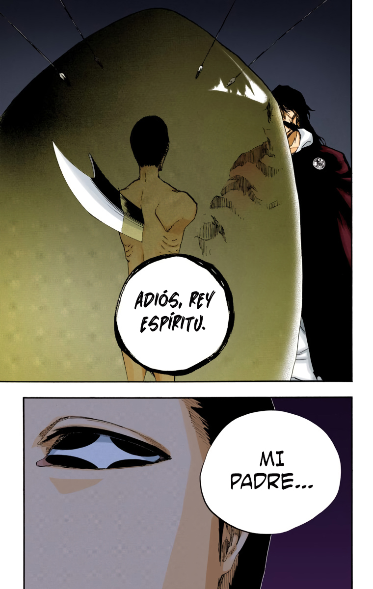 Read Bleach Full Color ES Manga Online
