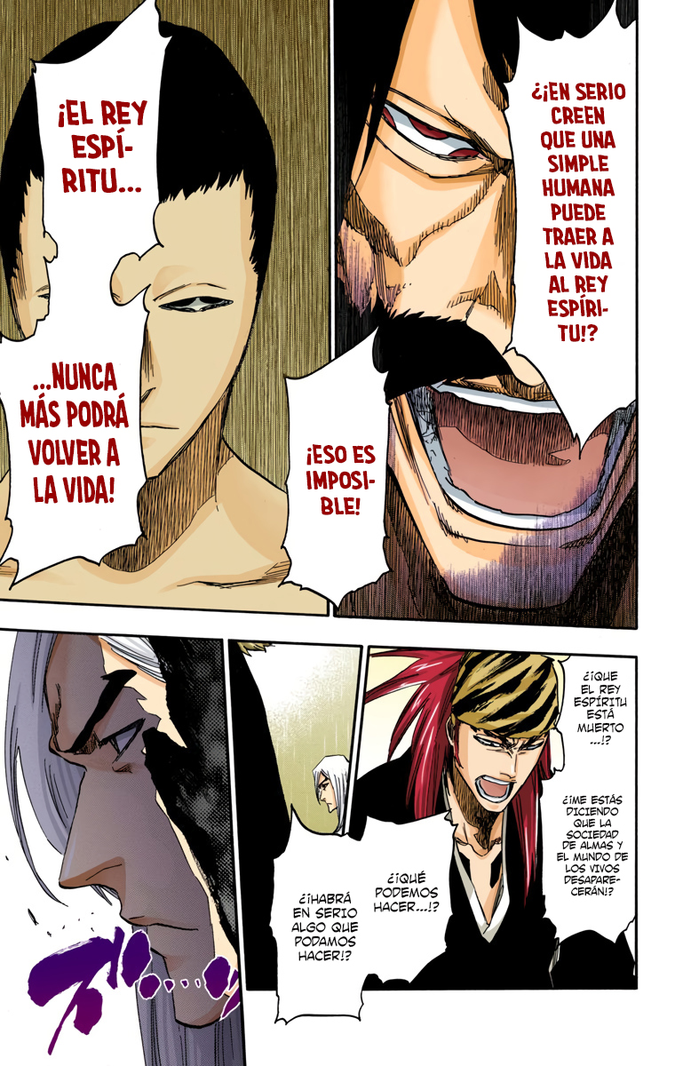 Read Bleach Full Color ES Manga Online