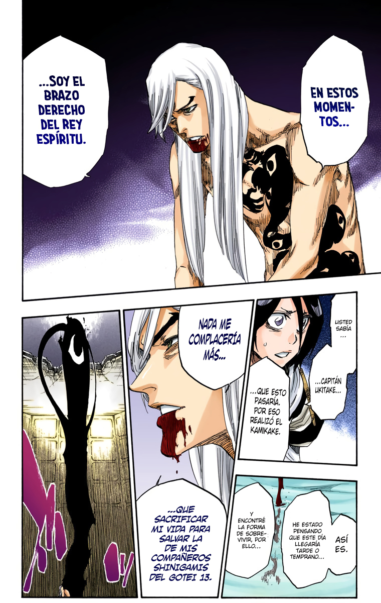 Read Bleach Full Color ES Manga Online