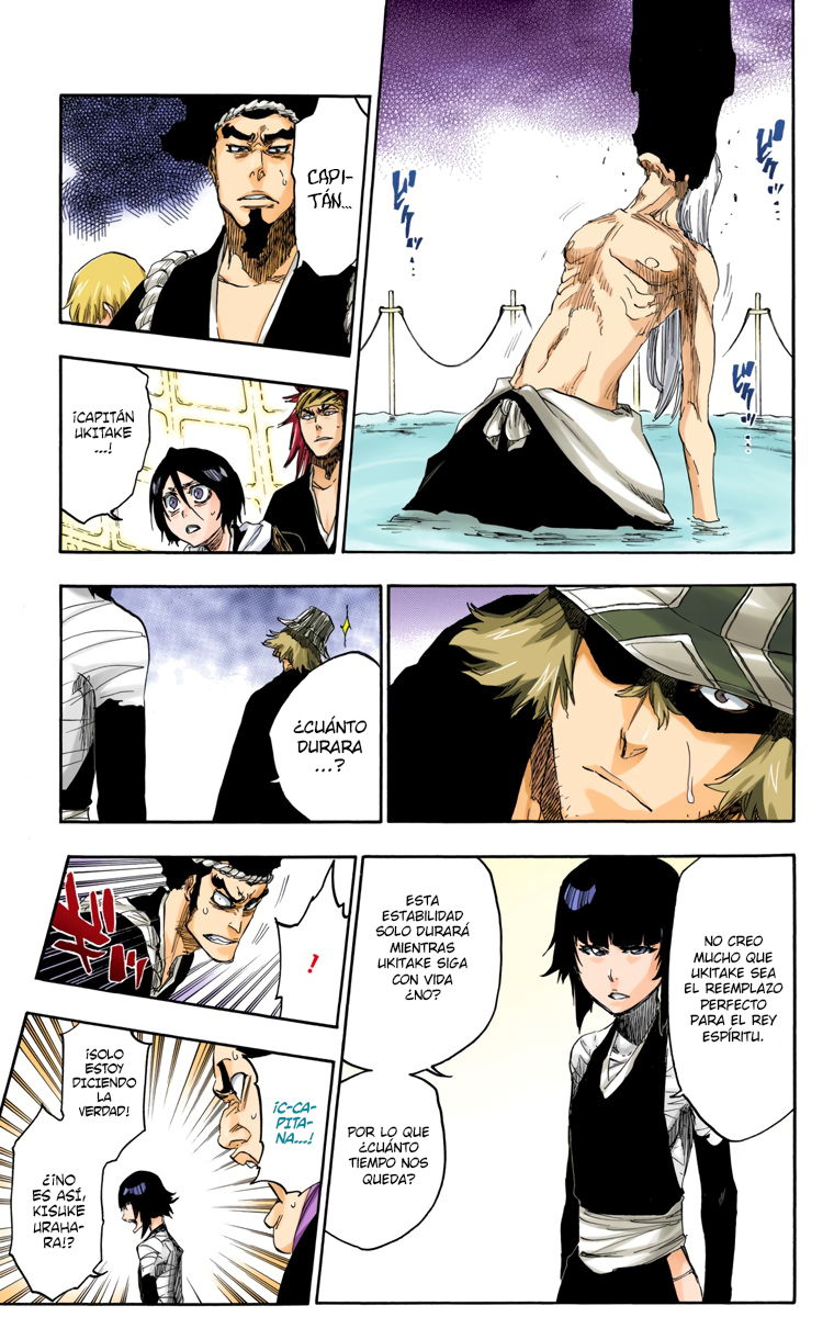 Read Bleach Full Color ES Manga Online