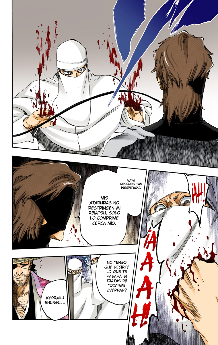 Read Bleach Full Color ES Manga Online
