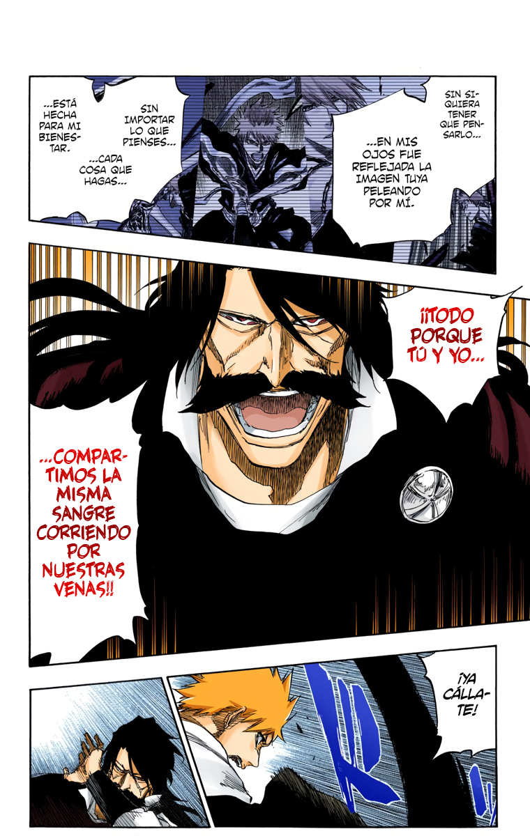 Read Bleach Full Color ES Manga Online