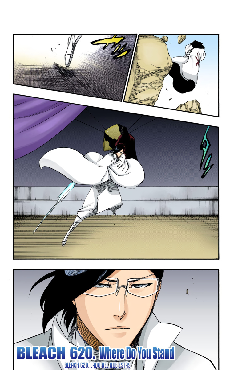 Read Bleach Full Color ES Manga Online