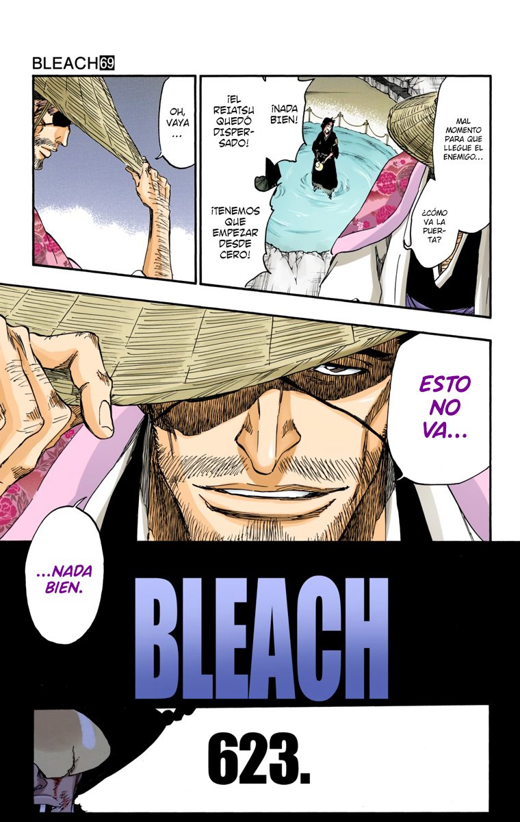 Read Bleach Full Color ES Manga Online