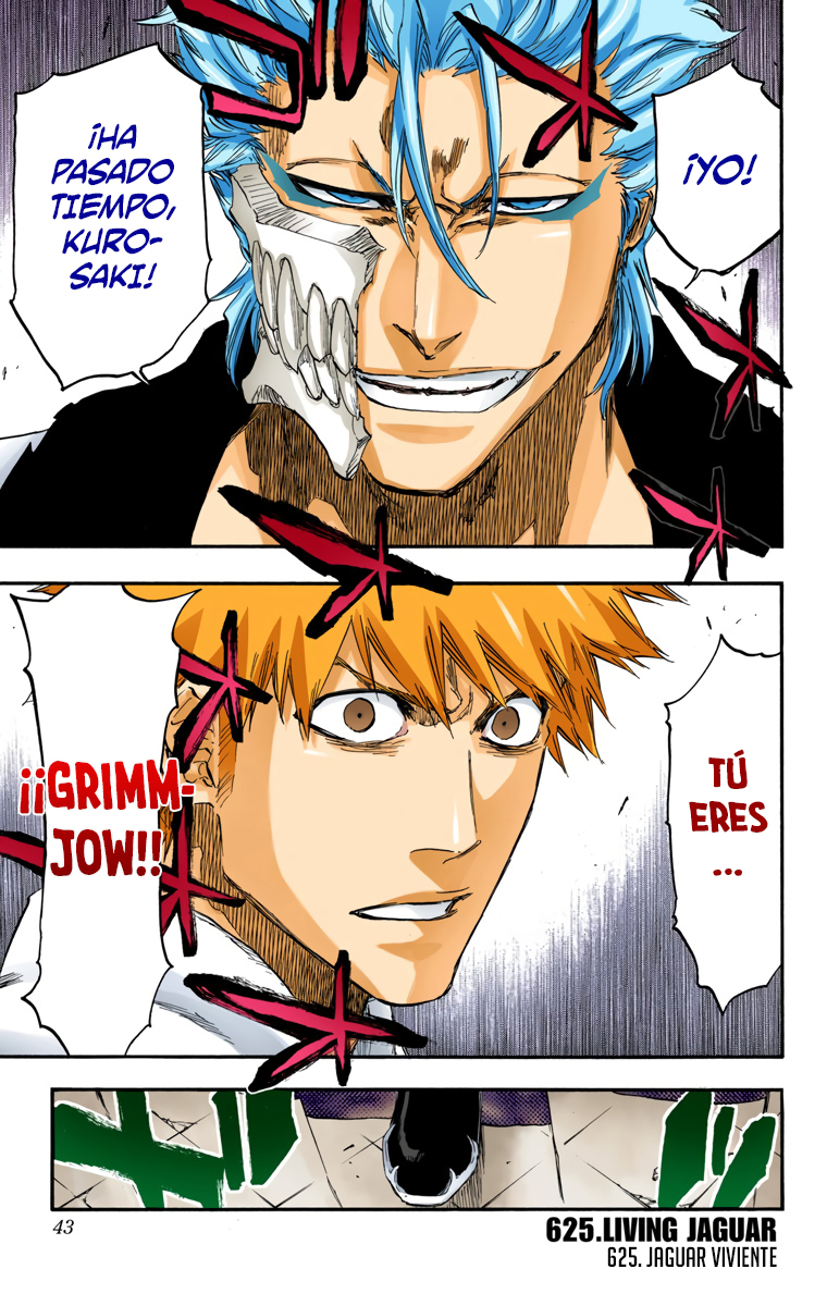 Read Bleach Full Color ES Manga Online