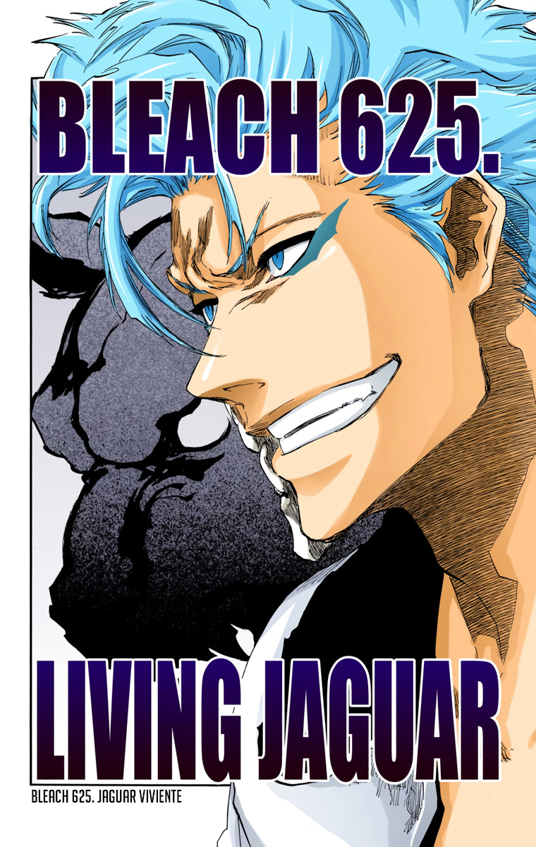 Read Bleach Full Color ES Manga Online