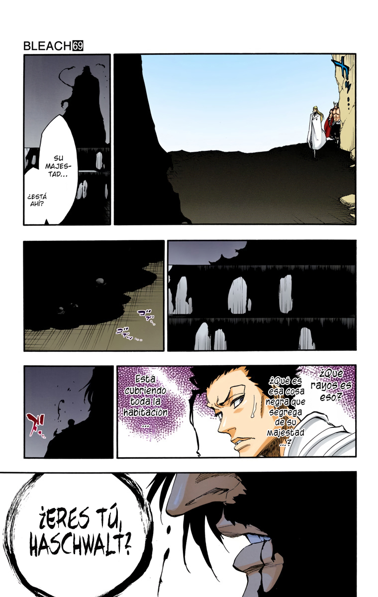 Read Bleach Full Color ES Manga Online