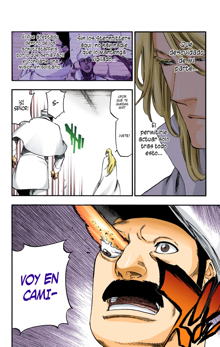 Read Bleach Full Color ES Manga Online