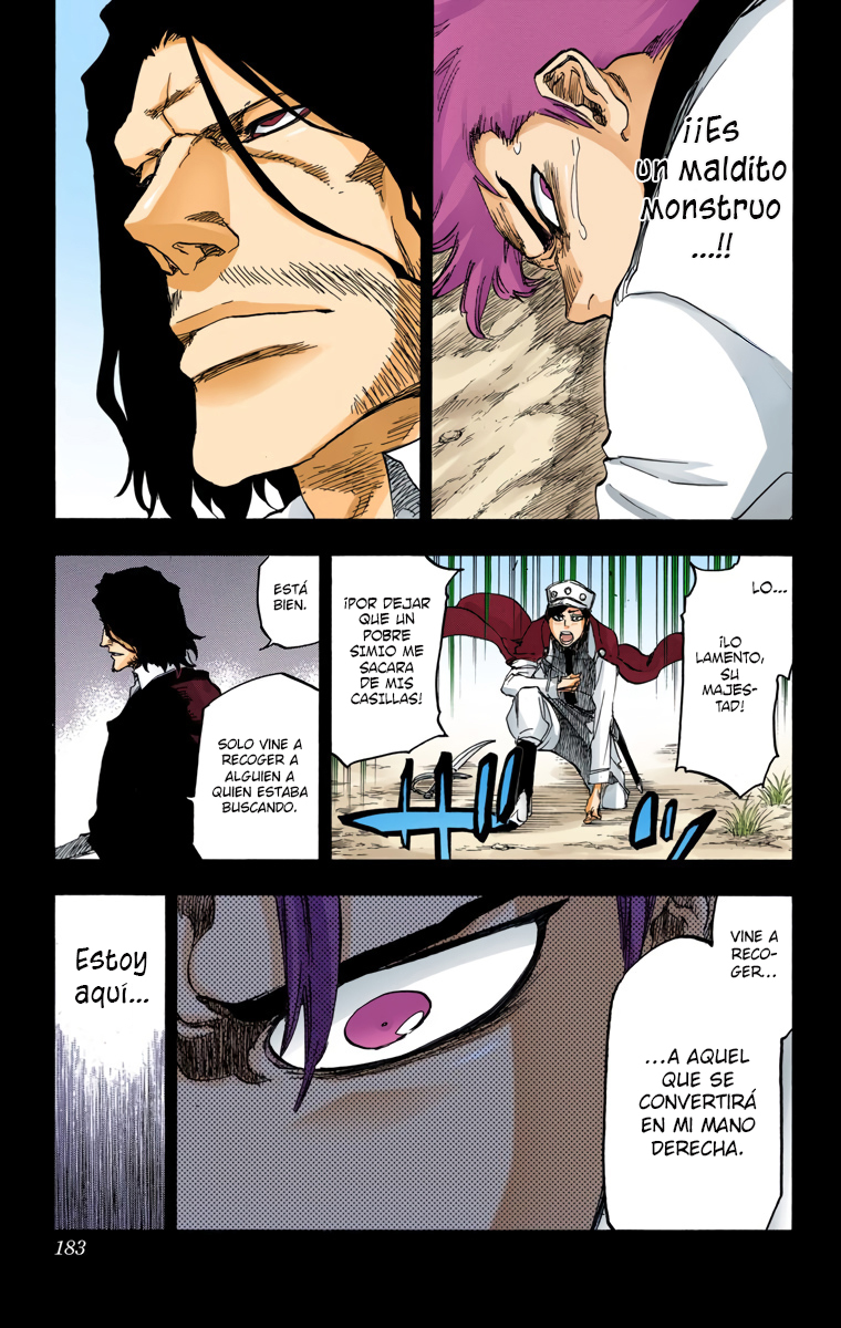 Read Bleach Full Color ES Manga Online
