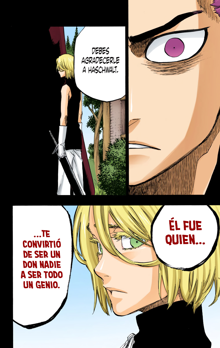 Read Bleach Full Color ES Manga Online