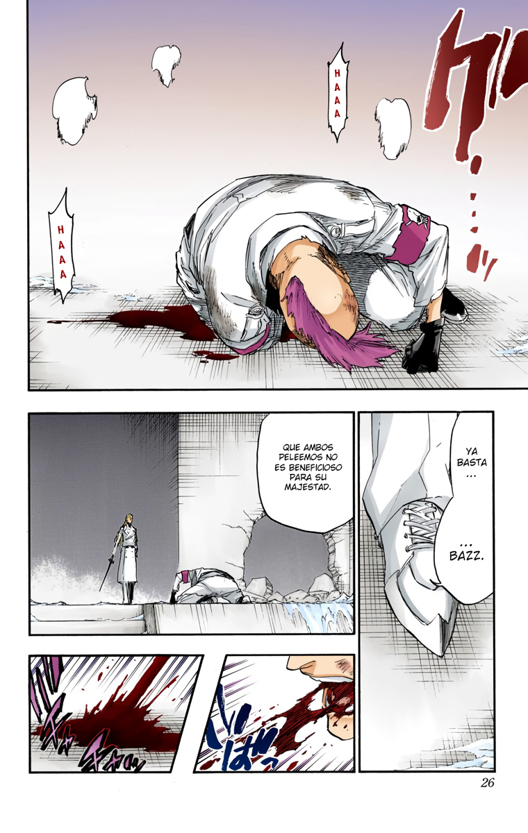 Read Bleach Full Color ES Manga Online