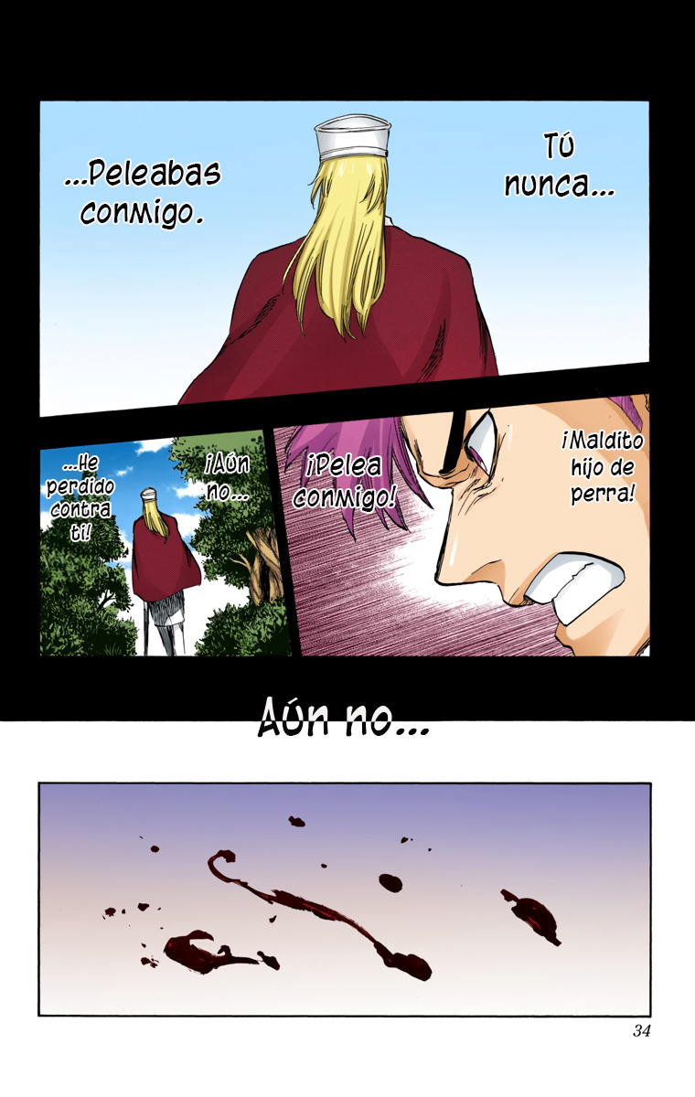Read Bleach Full Color ES Manga Online