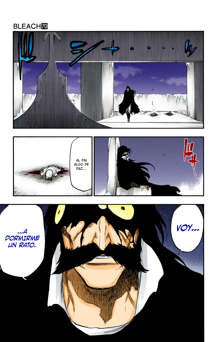 Read Bleach Full Color ES Manga Online