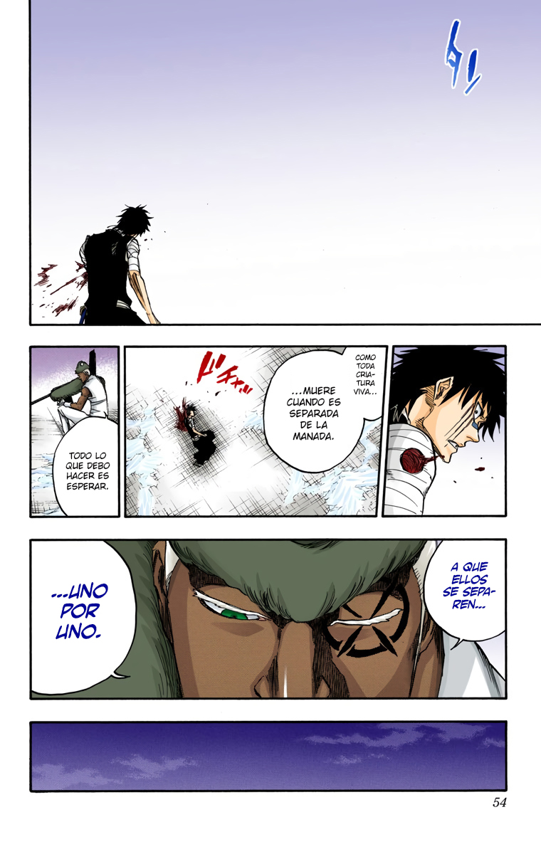 Read Bleach Full Color ES Manga Online