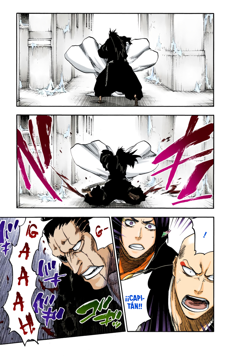 Read Bleach Full Color ES Manga Online