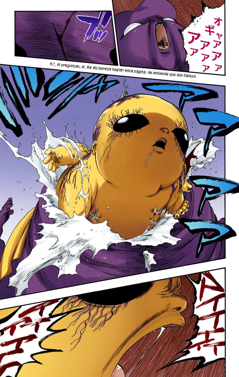 Read Bleach Full Color ES Manga Online