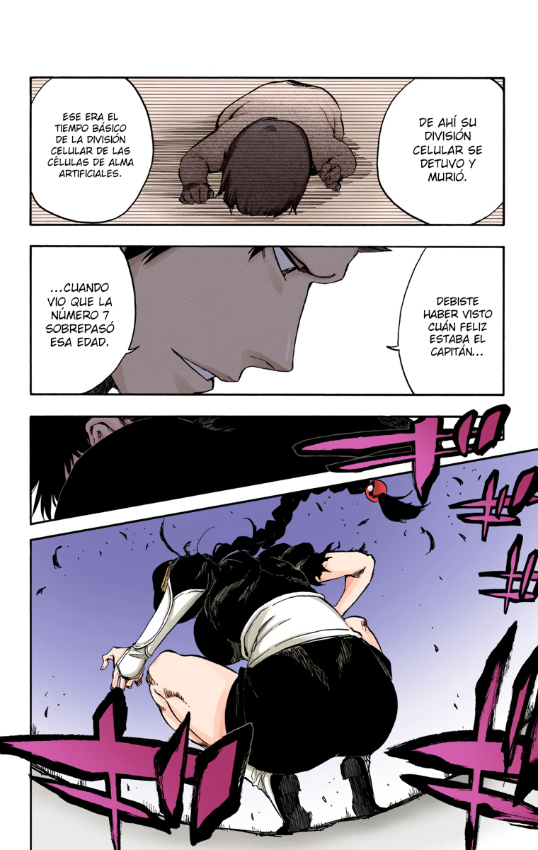 Read Bleach Full Color ES Manga Online