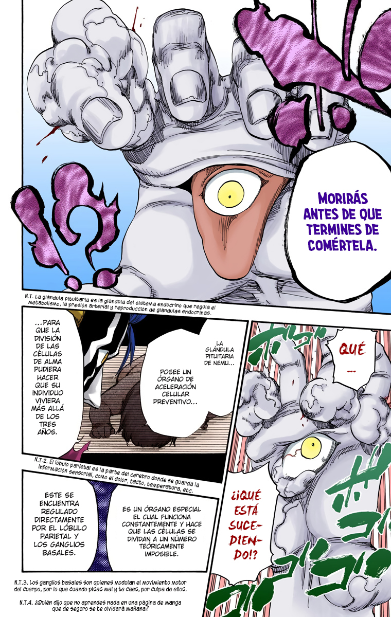 Read Bleach Full Color ES Manga Online