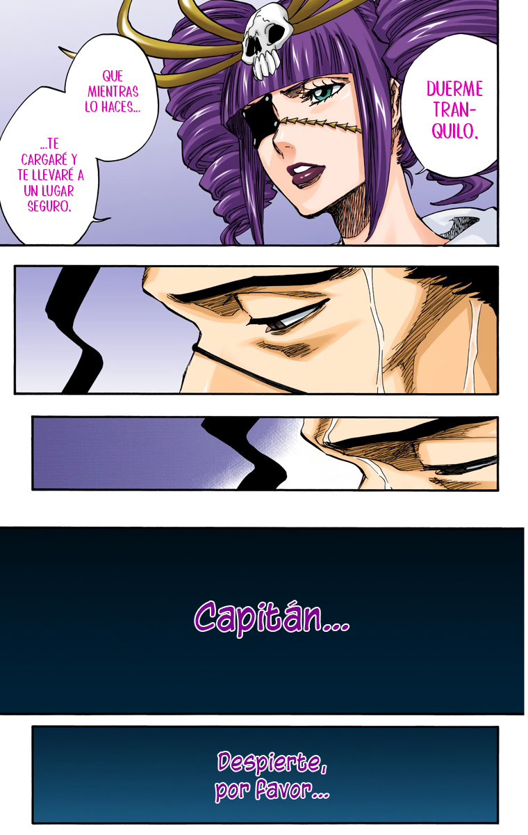 Read Bleach Full Color ES Manga Online