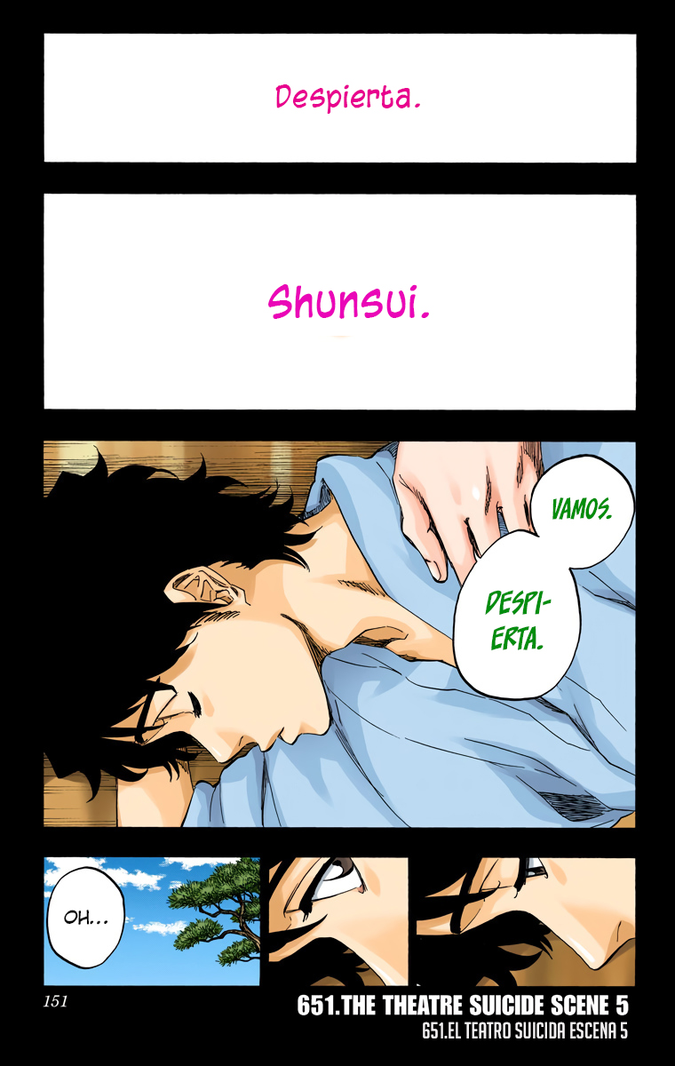 Read Bleach Full Color ES Manga Online
