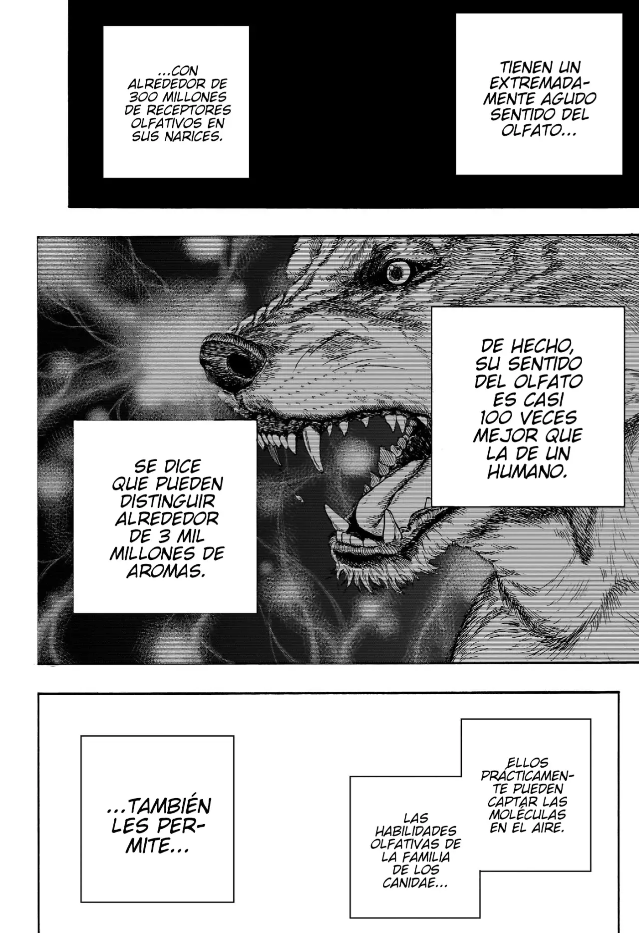Read Dear Anemone ES Manga Online