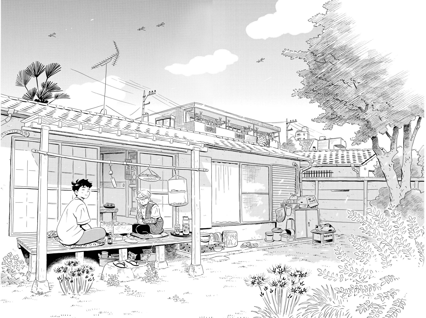 Read Hirayasumi ES Manga Online