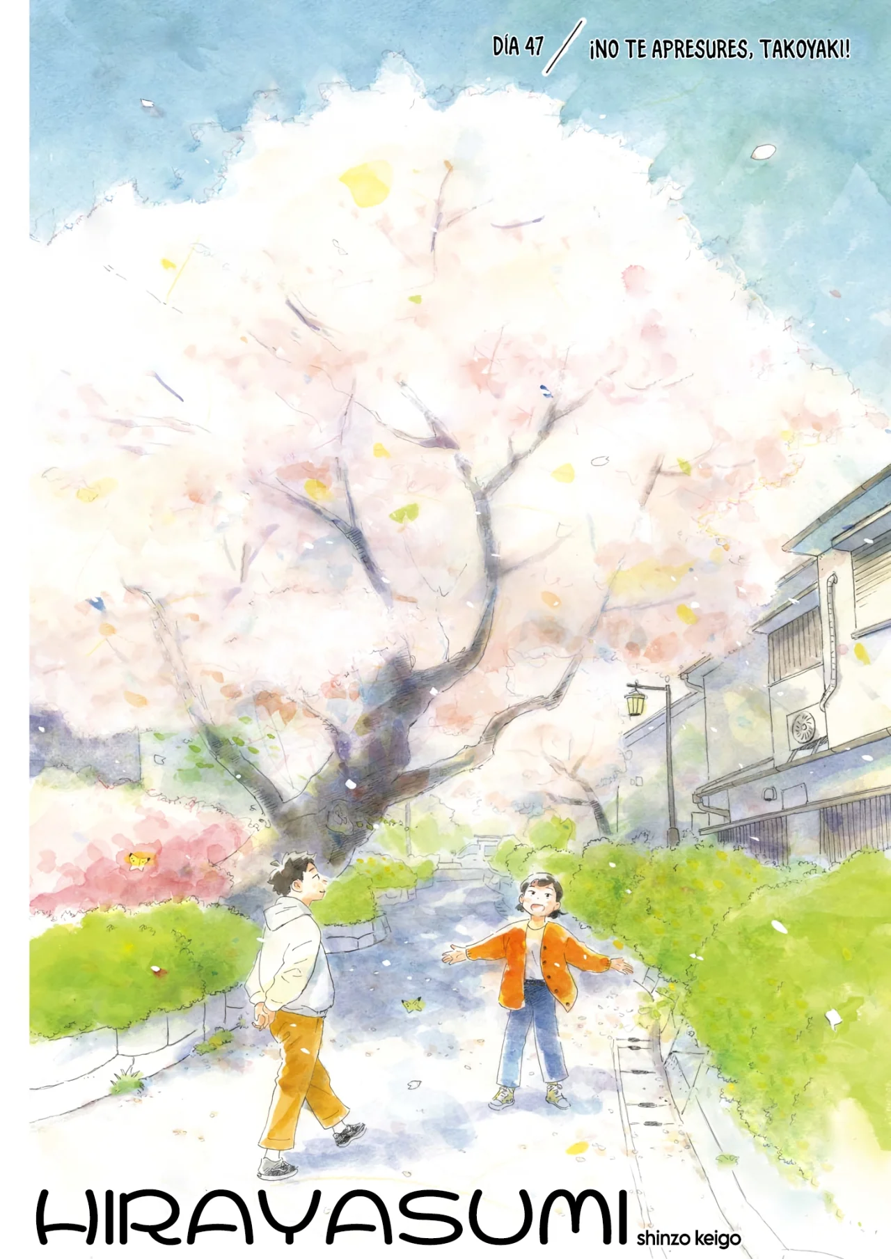 Read Hirayasumi ES Manga Online
