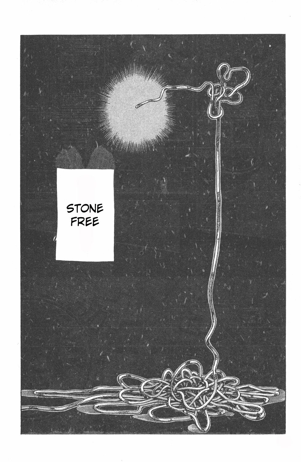 Read JoJo's Bizarre Adventure Part 6_ Stone Ocean ES Manga Online