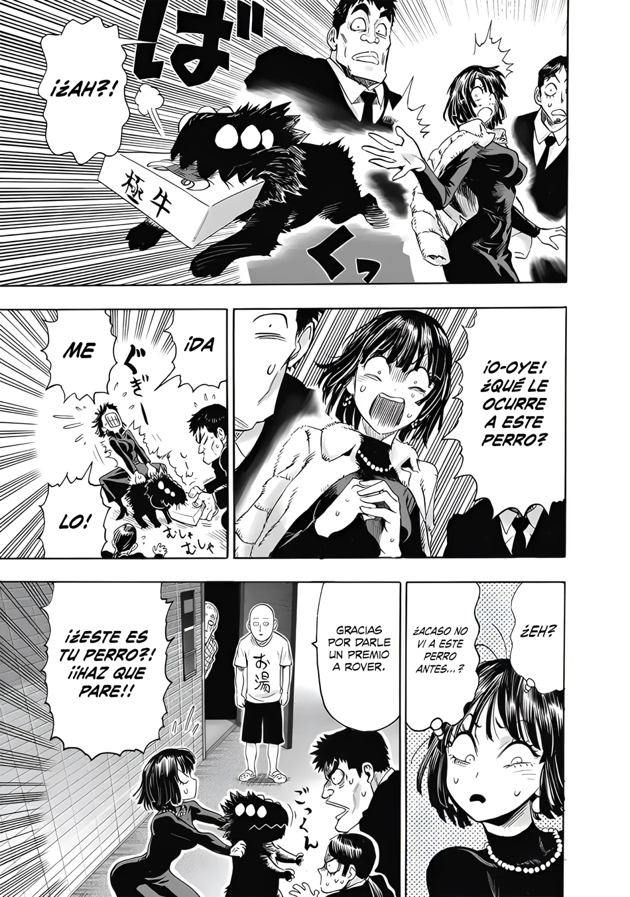 Read One Punch-Man ES Manga Online