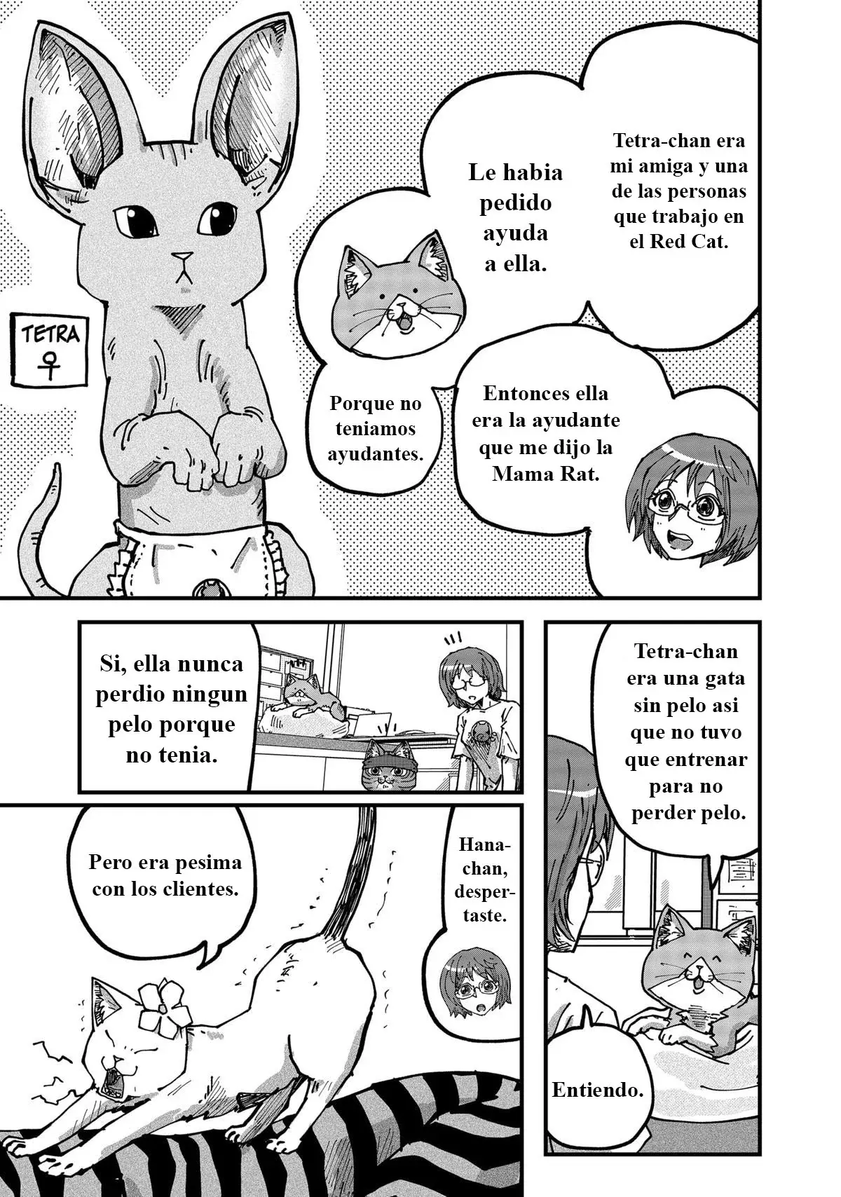 Read Ramen de Gato Rojo ES Manga Online