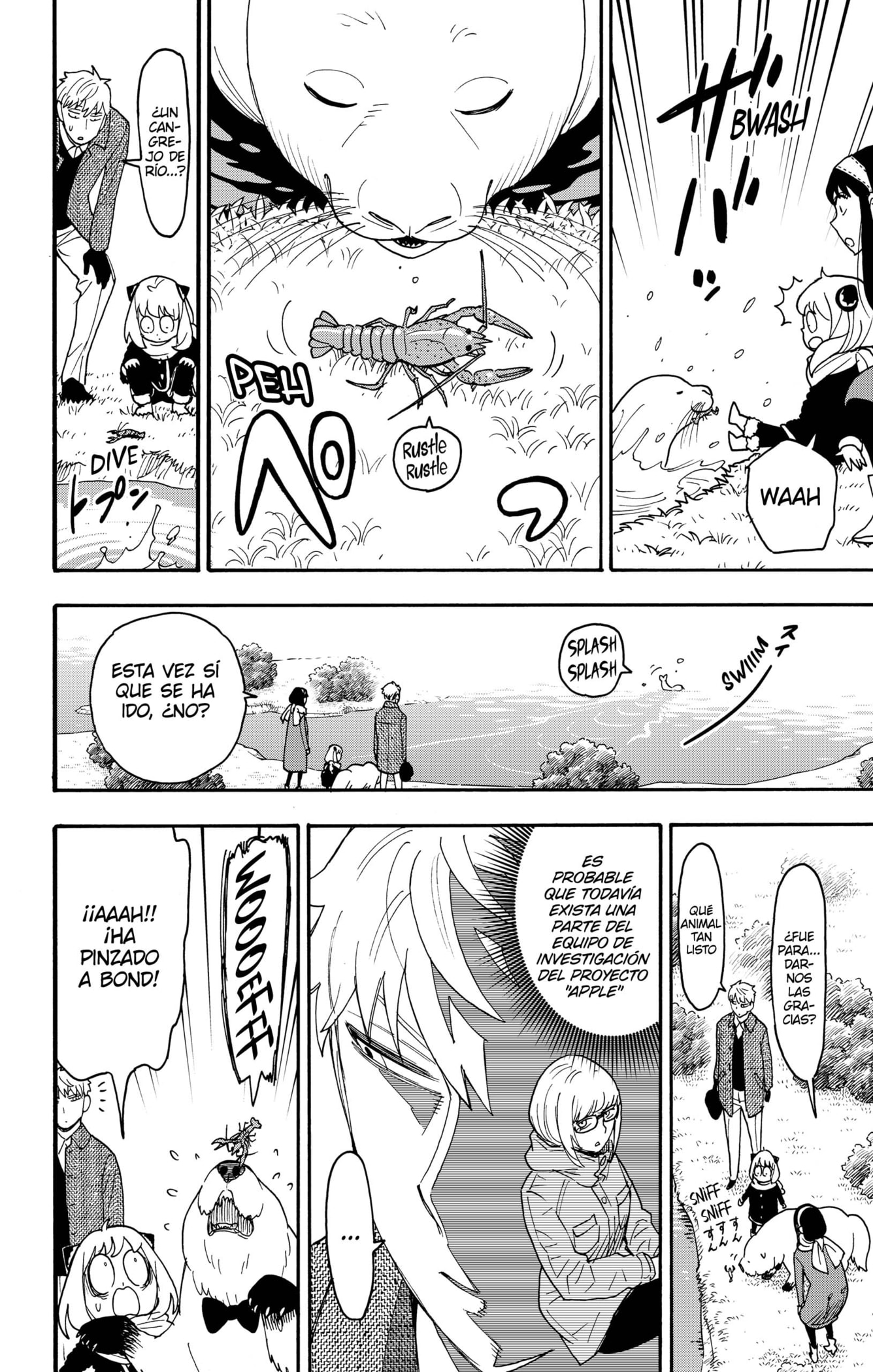 Read SPY×FAMILY ES Manga Online
