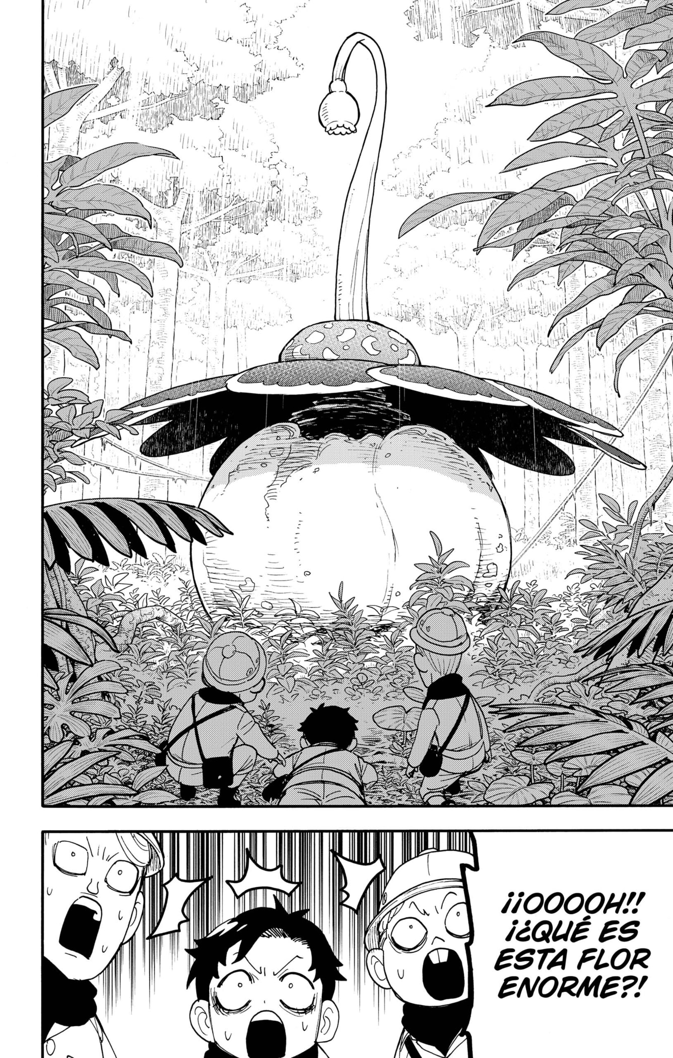 Read SPY×FAMILY ES Manga Online
