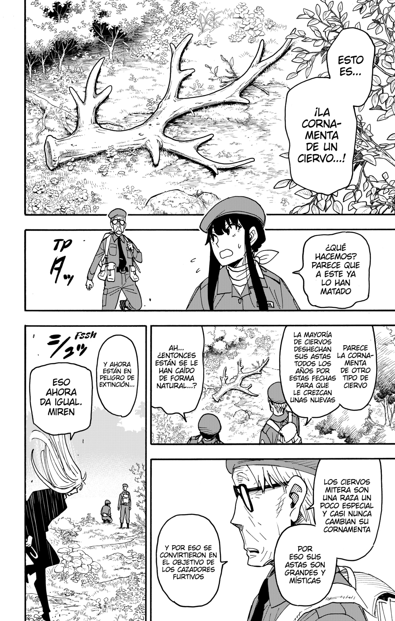 Read SPY×FAMILY ES Manga Online