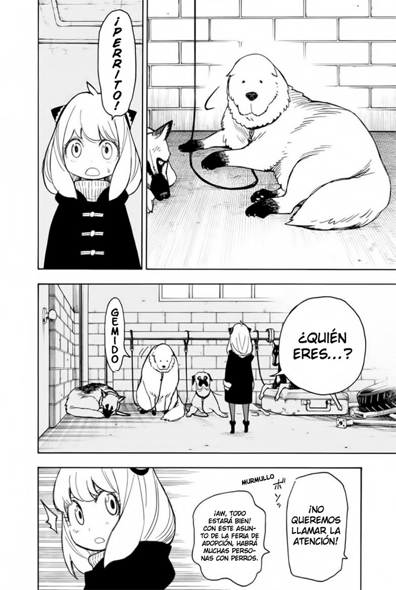 Read SPY×FAMILY ES Manga Online