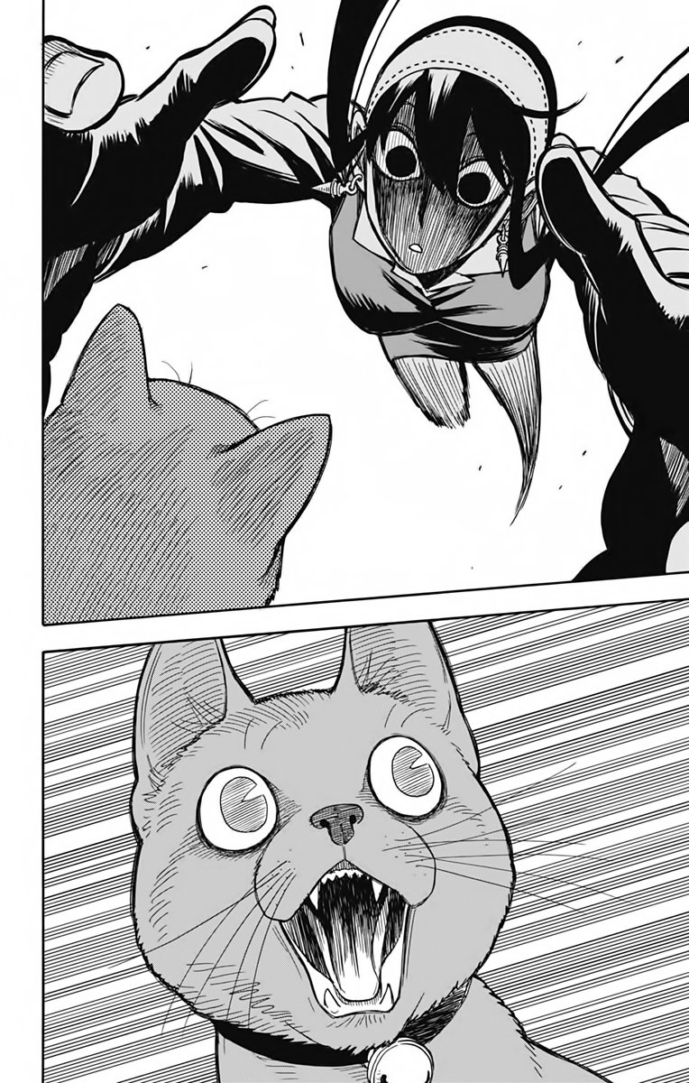 Read SPY×FAMILY ES Manga Online