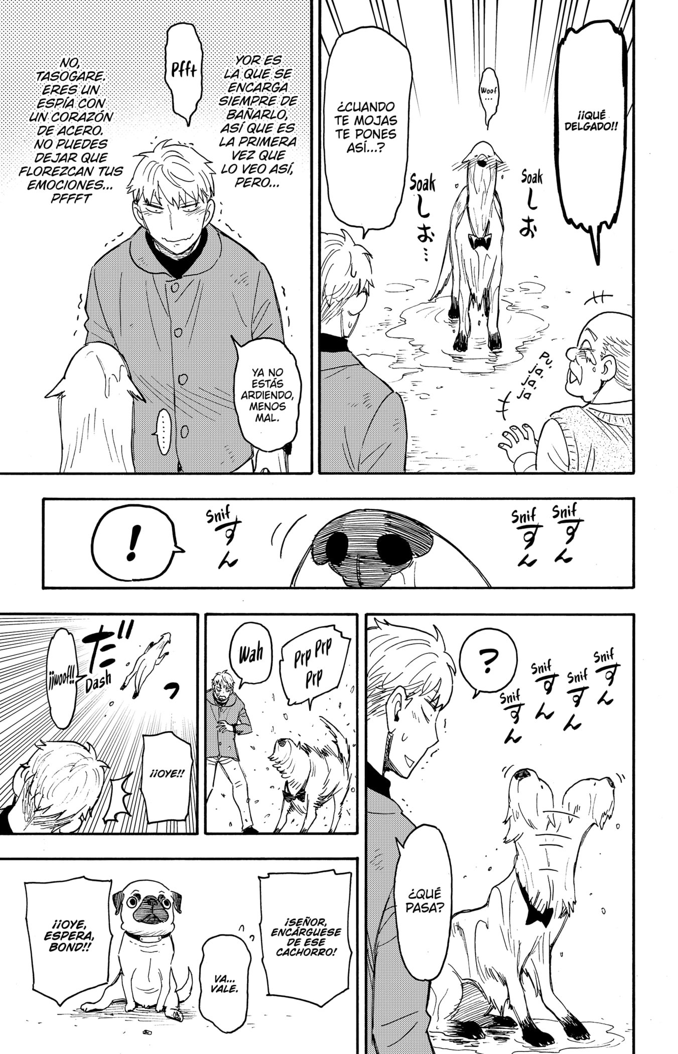 Read SPY×FAMILY ES Manga Online