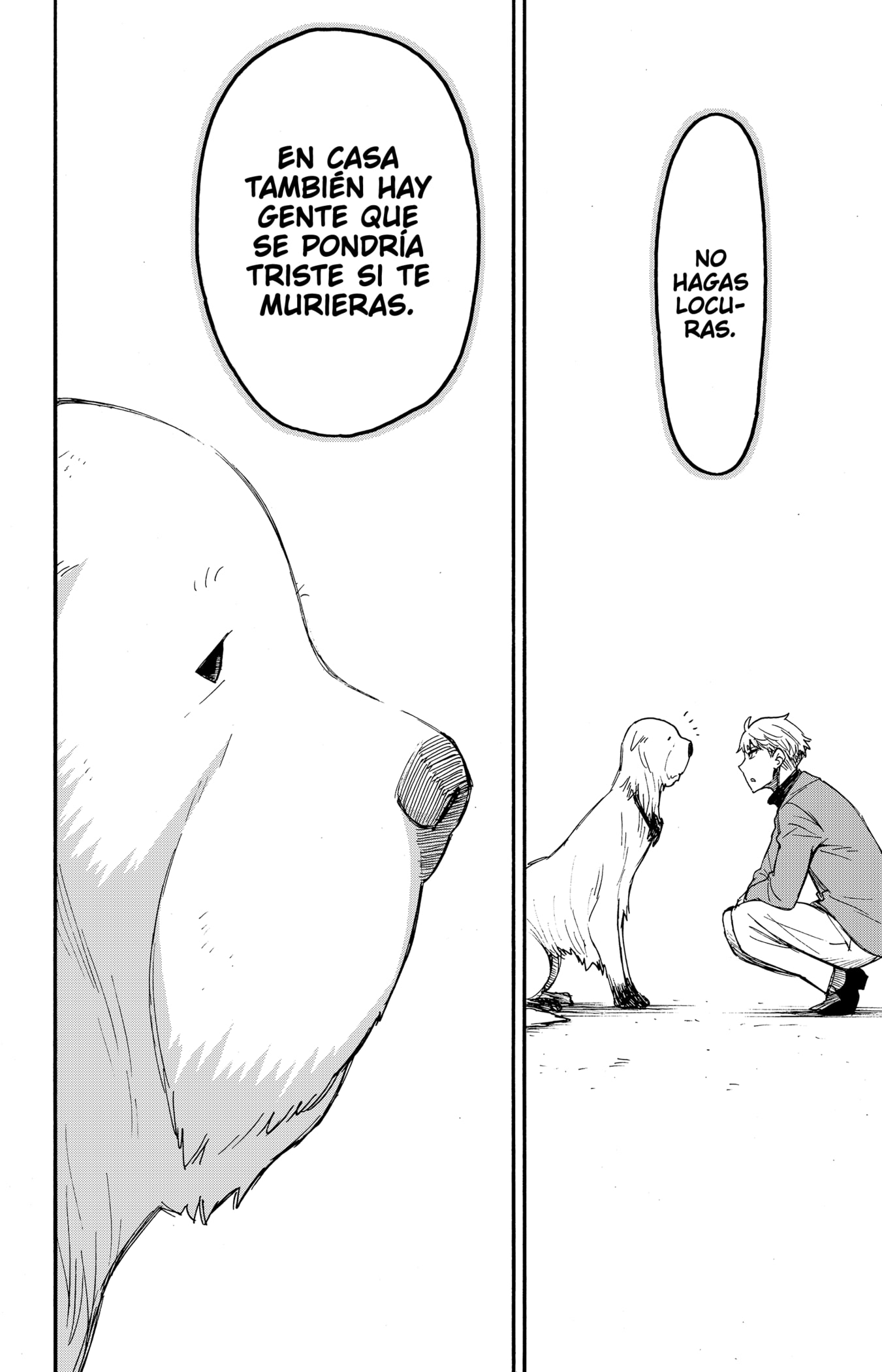 Read SPY×FAMILY ES Manga Online