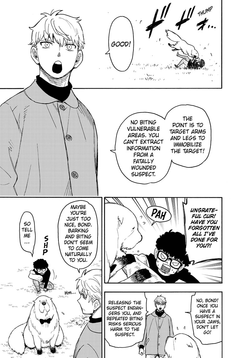 Read SPY×FAMILY ES Manga Online