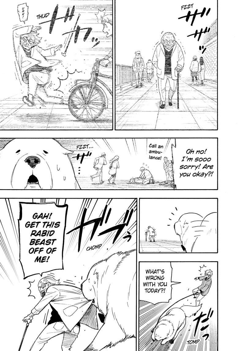 Read SPY×FAMILY ES Manga Online